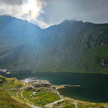 Apartament Casa Oaspeti Transfagarasan Cîrţişoara Zewnętrze zdjęcie