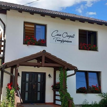 Apartament Casa Oaspeti Transfagarasan Cîrţişoara Zewnętrze zdjęcie