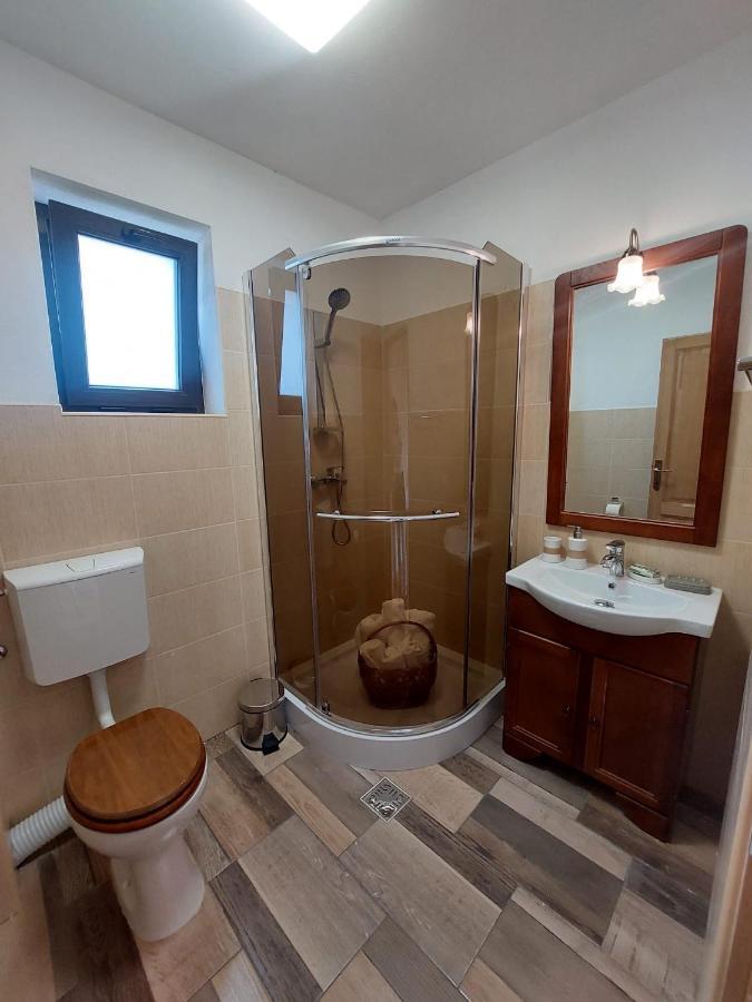 Apartament Casa Oaspeti Transfagarasan Cîrţişoara Zewnętrze zdjęcie