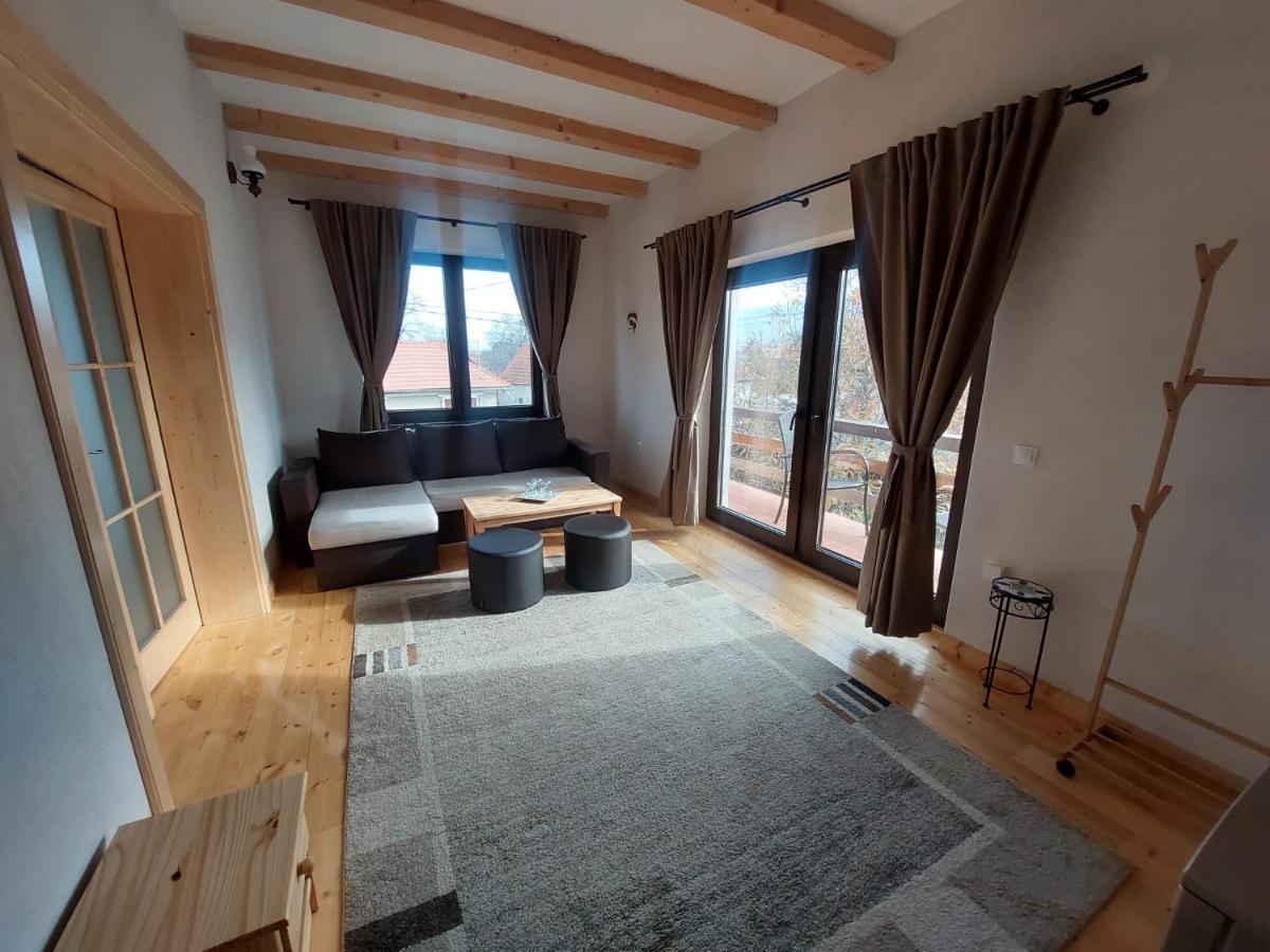 Apartament Casa Oaspeti Transfagarasan Cîrţişoara Zewnętrze zdjęcie