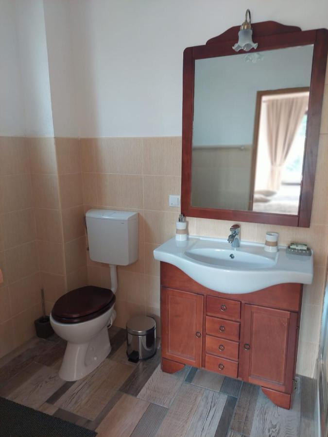 Apartament Casa Oaspeti Transfagarasan Cîrţişoara Zewnętrze zdjęcie