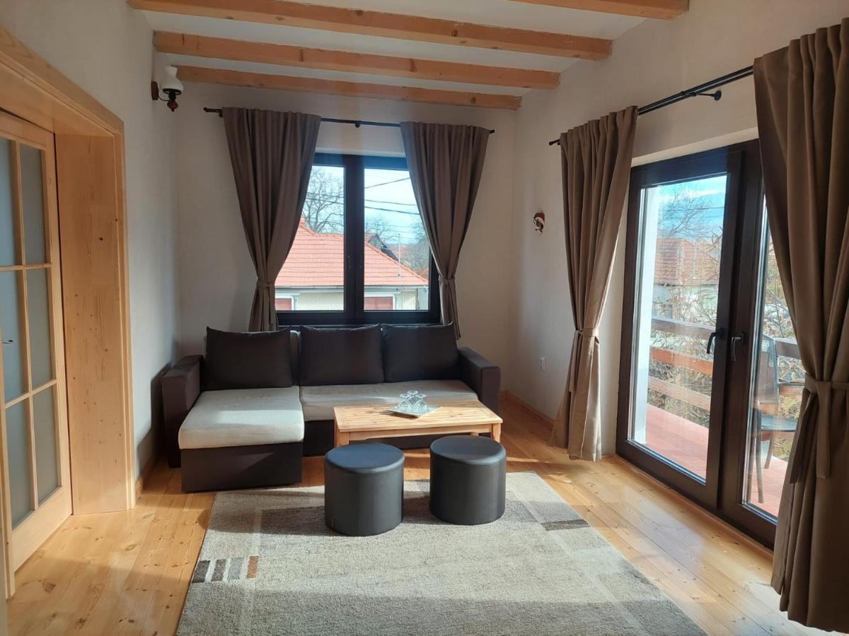 Apartament Casa Oaspeti Transfagarasan Cîrţişoara Zewnętrze zdjęcie