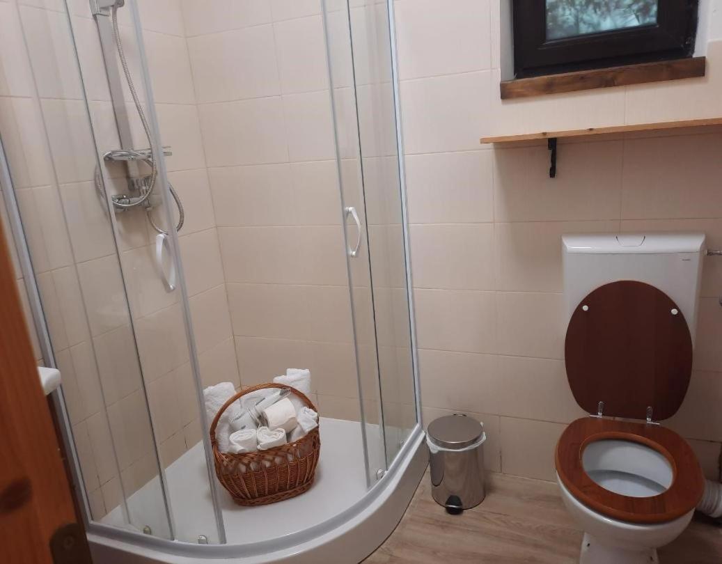 Apartament Casa Oaspeti Transfagarasan Cîrţişoara Zewnętrze zdjęcie