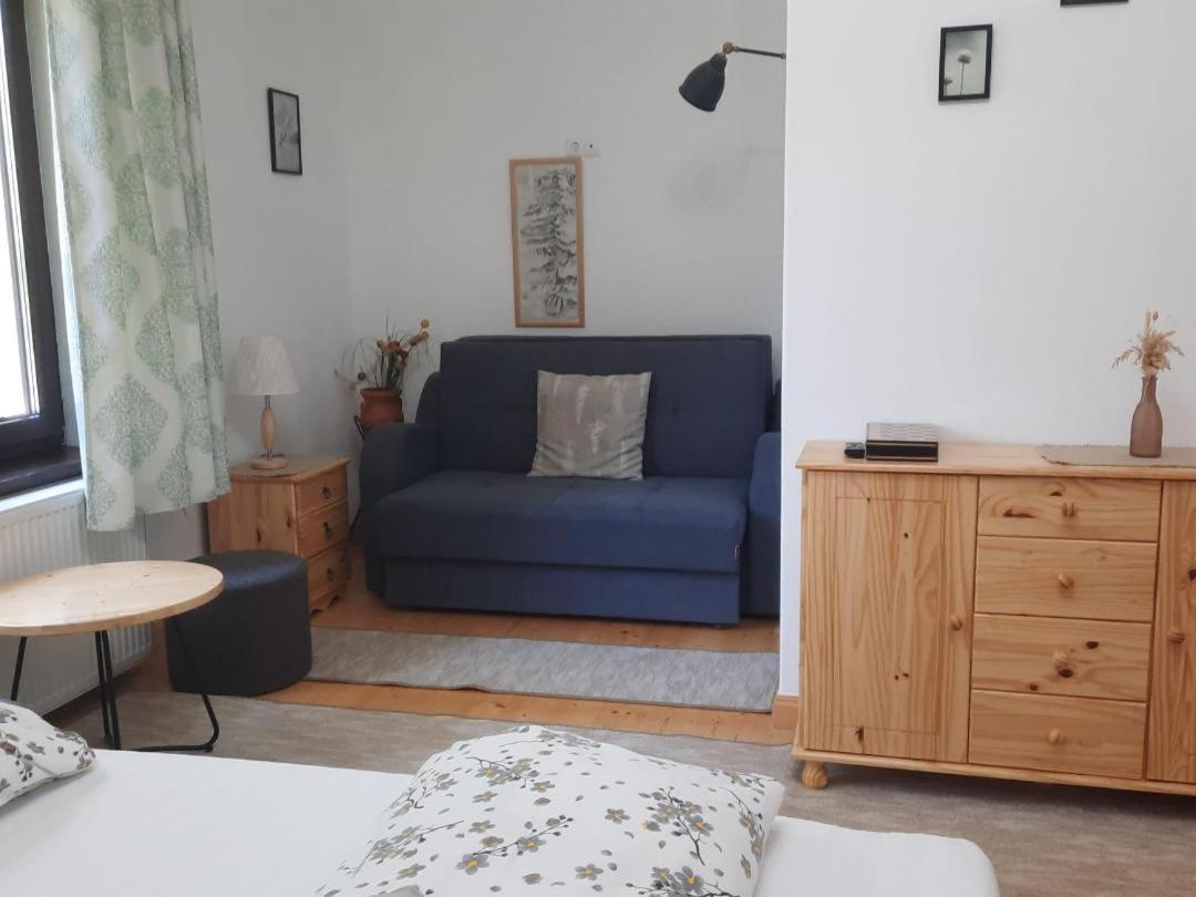 Apartament Casa Oaspeti Transfagarasan Cîrţişoara Zewnętrze zdjęcie