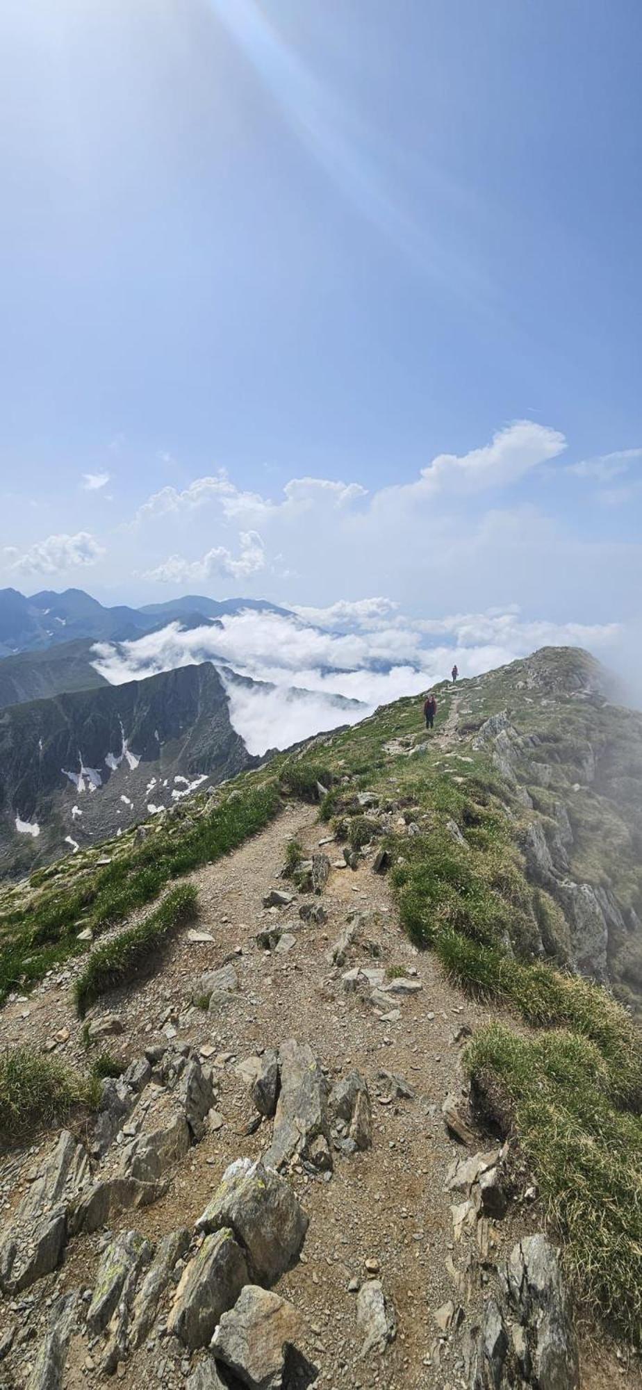 Apartament Casa Oaspeti Transfagarasan Cîrţişoara Zewnętrze zdjęcie